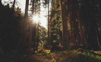 10 steps to improve your running